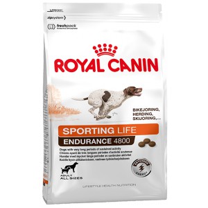 Royal Canin Energy 4800, croquettes pour chiens actifs Royal Canin Energy 4800, croquettes pour chiens actifs
