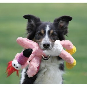 Kong Wild Knots pour chiens