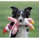 Kong Wild Knots pour chiens