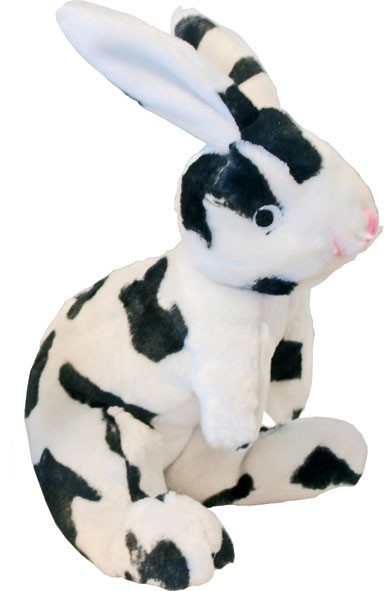 peluche pour lapin