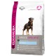 Eukanuba Breed Specific Rottweiler pour chien