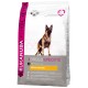 Eukanuba Breed Specific Berger Allemand pour chien