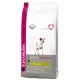 Eukanuba Adult Jack Russell Terrier pour chien