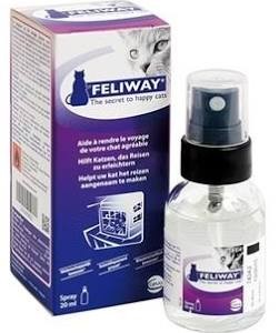Feliway Spray Chat