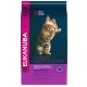 Eukanuba Kitten au poulet pour chaton
