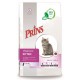 Prins VitalCare pour chaton