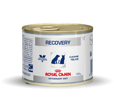 Royal Canin Veterinary Diet Recovery Boîte pour chien et chat