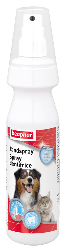 Beaphar Spray dentifrice pour chien