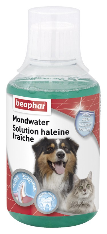 Beaphar bain de bouche pour chiens et chats