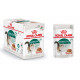 Royal Canin Instinctive 7+ pour chat 12 sachets