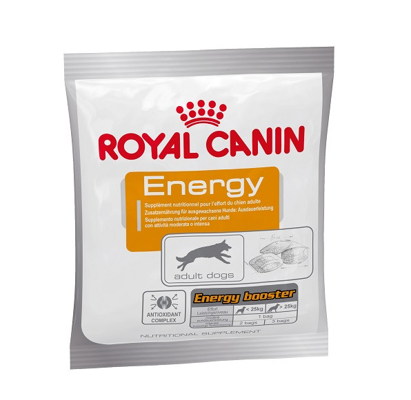 Royal Canin Energy pour chien