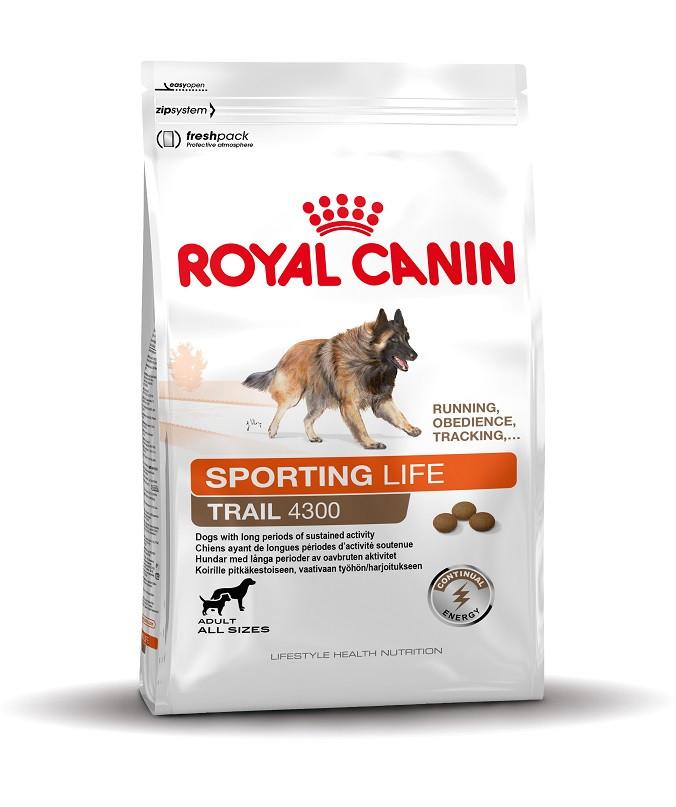 Royal Canin Sporting Energy 4300 pour chien