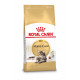 Royal Canin Chat Maine Coon 31 Adult