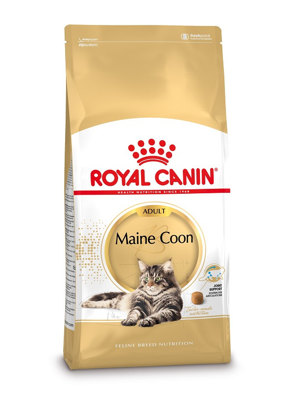 Royal Canin Chat Maine Coon 31 Adult