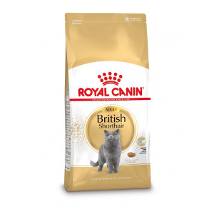 Royal Canin Adult British Shorthair pour chat 2 x 10 kg