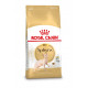 Royal Canin Chat Sphynx 33