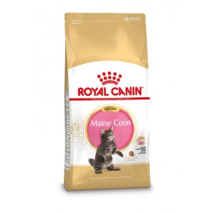 Royal Canin Chaton Maine Coon 36 10 kg