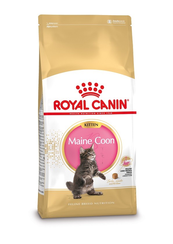 Image de 2 x 10 kg Royal Canin Chaton Maine Coon 36