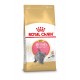 Royal Canin Kitten British Shorthair pour chaton