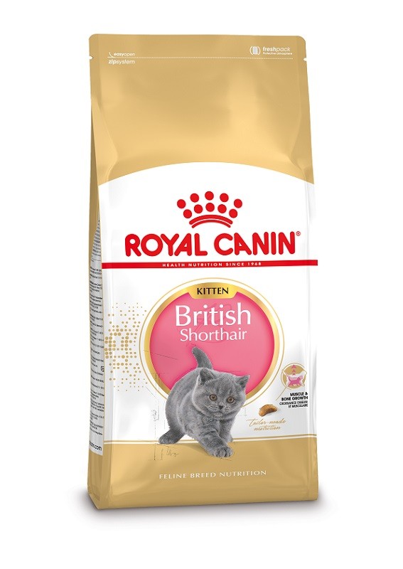 Image de 2 x 10 kg Royal Canin Kitten British Shorthair pour chaton