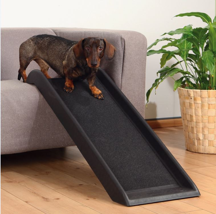 Rampe Petwalk Trixie small pour chien