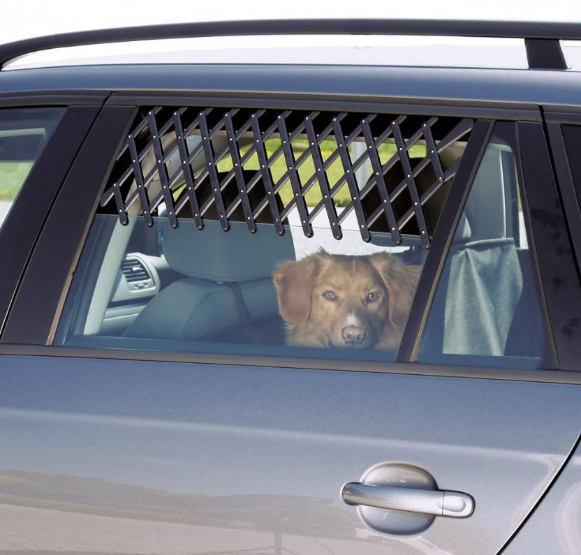 Grille de ventilation pour fenêtre de voiture