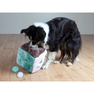 Cube en Peluche (4 boules) pour chien