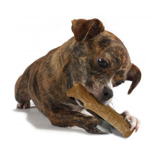 Petstages Dogwood Stick pour chien
