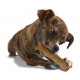 Petstages Dogwood Stick pour chien