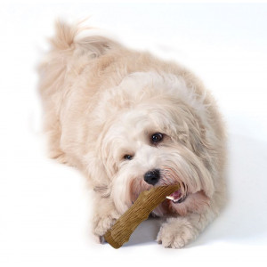 Petstages Dogwood Stick pour chien