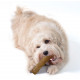 Petstages Dogwood Stick pour chien