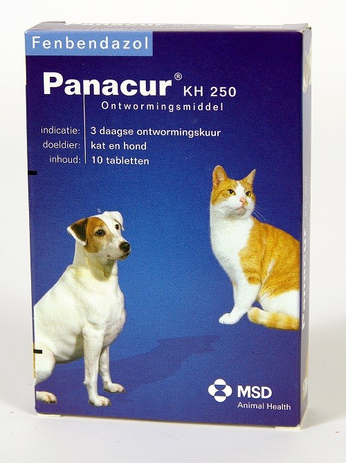 Panacur 250 Vermifuge pour chien et chat