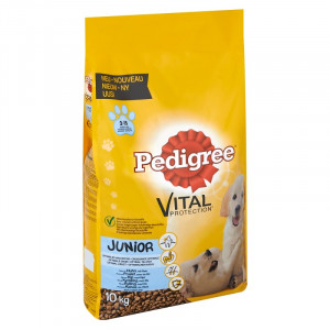 pedigree maxi junior