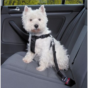 Harnais de marche avec ceinture pour chien