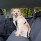 Harnais de marche avec ceinture pour chien