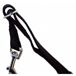Harnais de marche avec ceinture pour chien