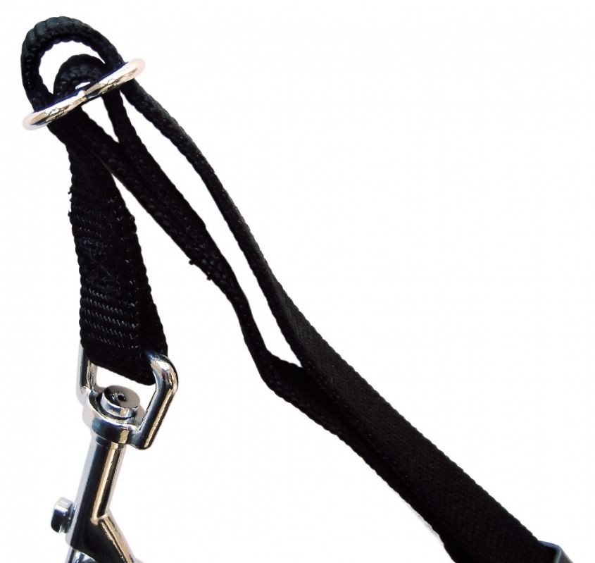 Harnais de marche avec ceinture pour chien