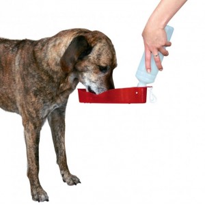Bouteille avec gamelle intégrée pour chien
