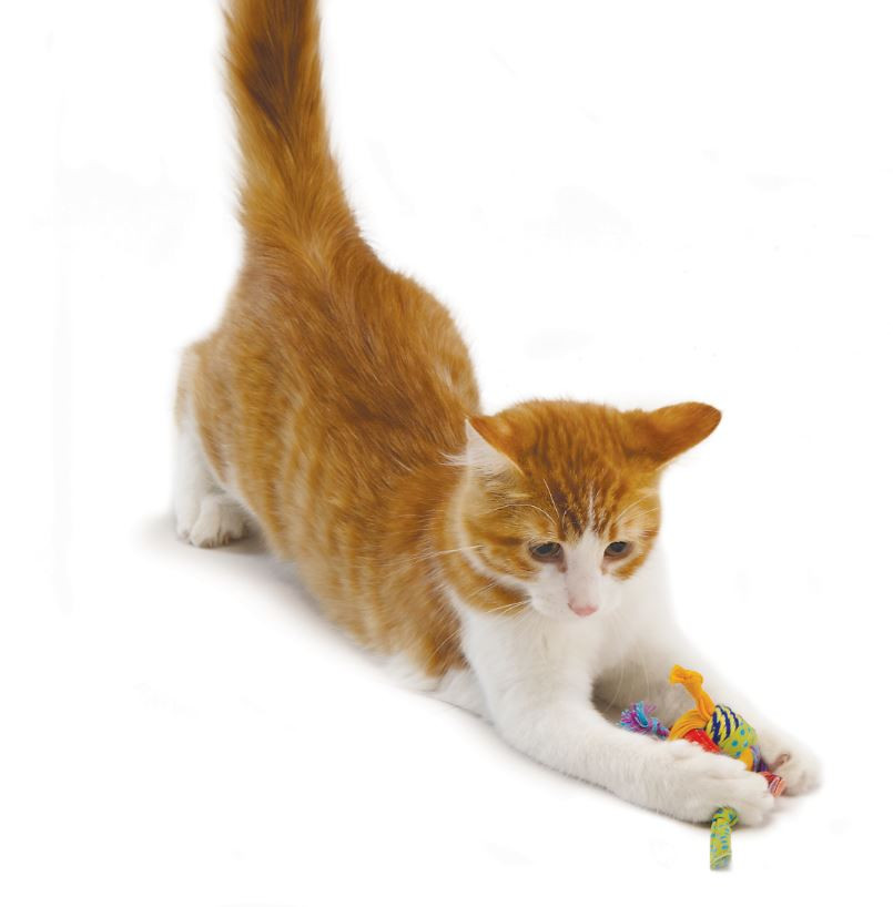 Petstages Tons of Tails pour chat