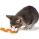 Petstages Orka Kat Wiggle Worm pour chat