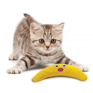 Petstages Catnip Boomerang Buddy pour chat