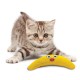 Petstages Catnip Boomerang Buddy pour chat