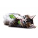 Petstages Mint Stick pour chat