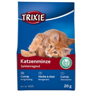 Herbe à Chats (20gr)