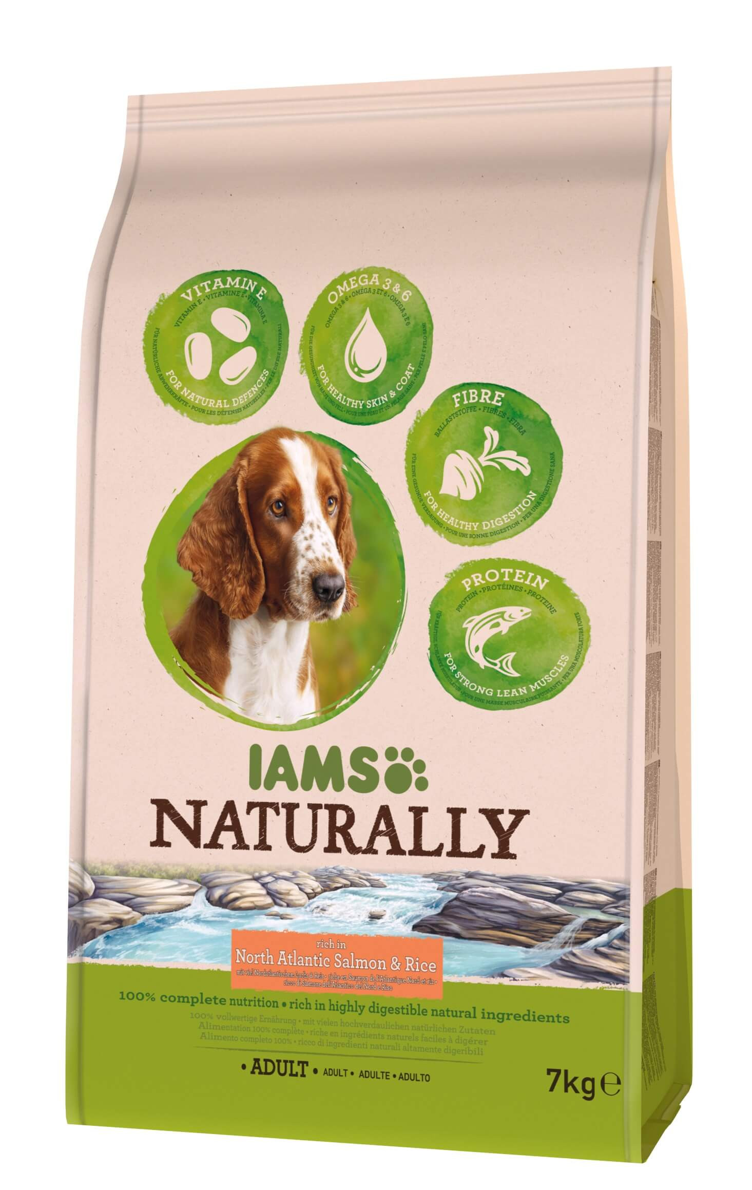 Iams Naturally Adulte au saumon & riz pour chien