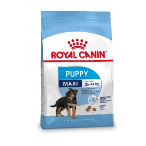 Royal Canin Maxi Puppy pour chiot 2 x 4 kg