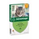 Advantage Nr. 40 pour chat