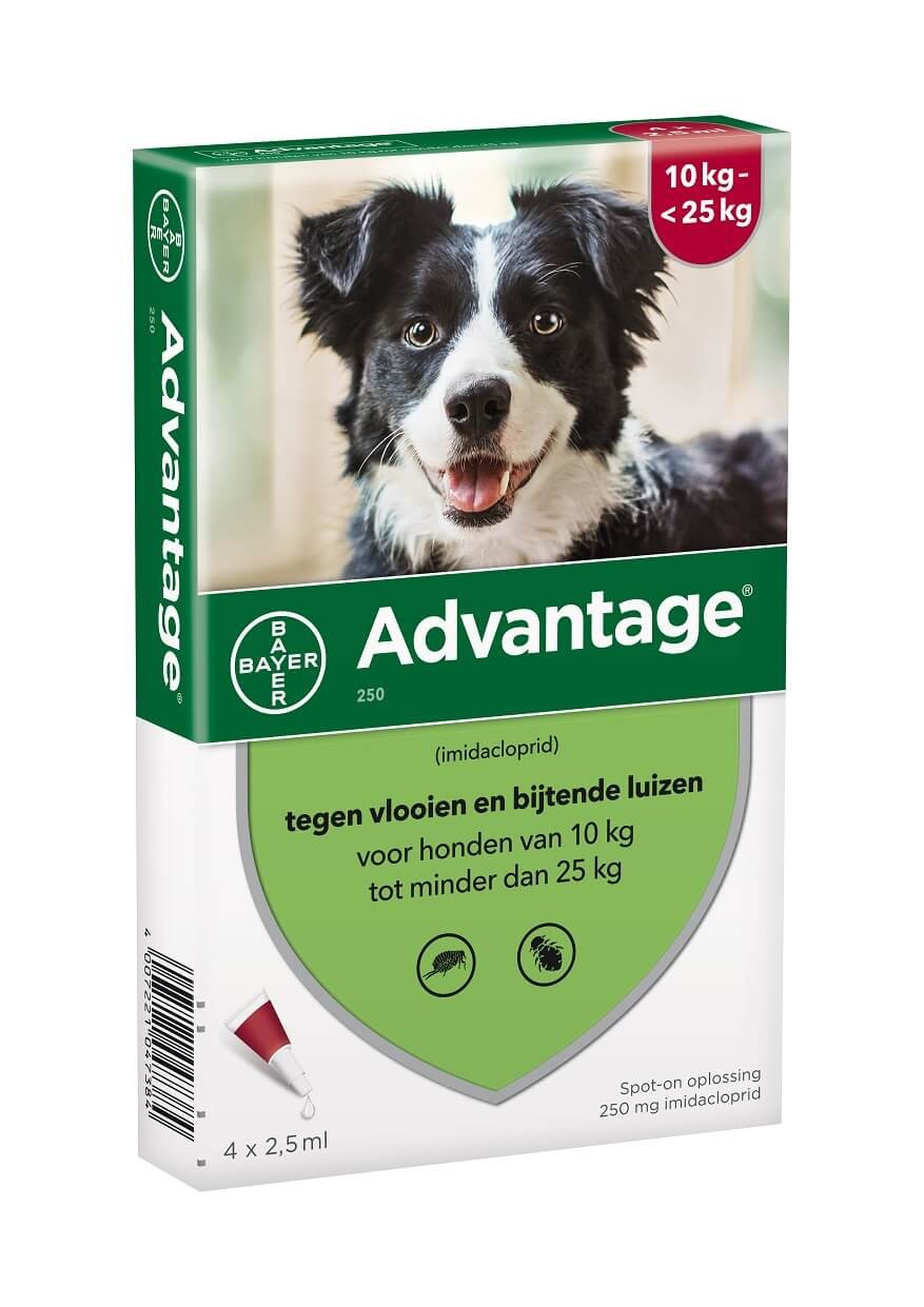 Advantage Nr. 250, vlooienmiddel voor honden