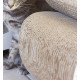 MyKotty LUI - Griffoir ondulé en carton pour chat