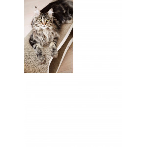MyKotty LUI - Griffoir ondulé en carton pour chat